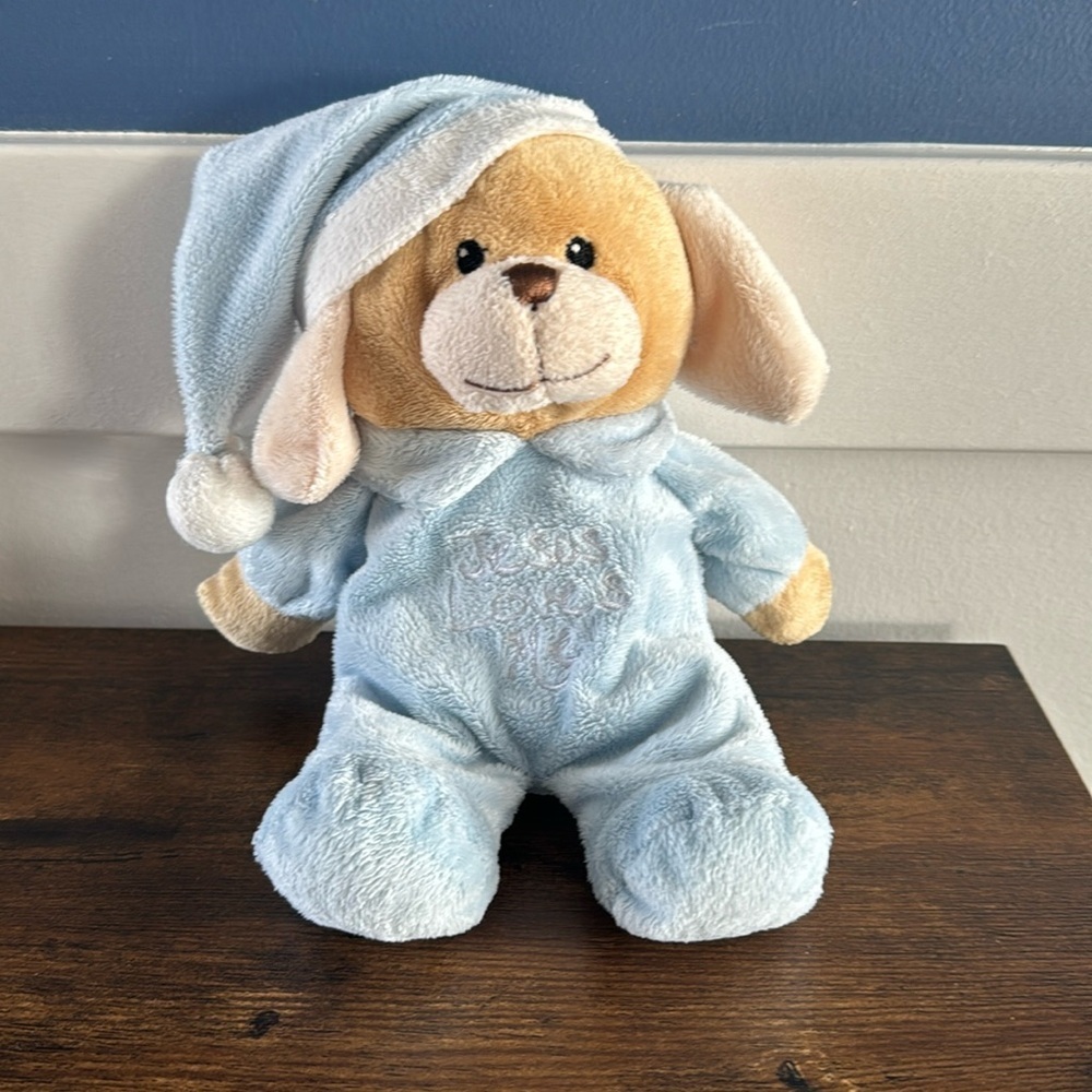 Dandee Stuffed Plush Blue Puppy Dog Jesus Loves Me 8” Bean Bag Toy Baby Hat